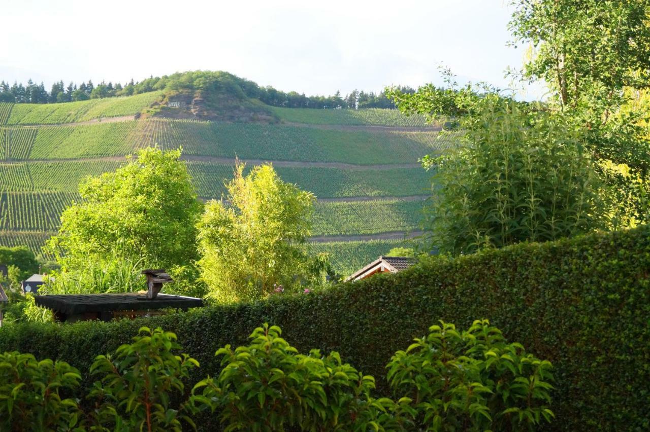 Mosel-auszeit * Brauneberg